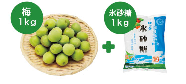 簡単 梅ジュース手作りセット1ｋｇ