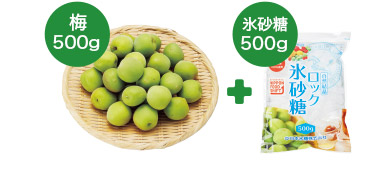 簡単 梅ジュース手作りセット500ｇ