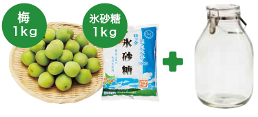 簡単梅ジュース手作りびん付セット