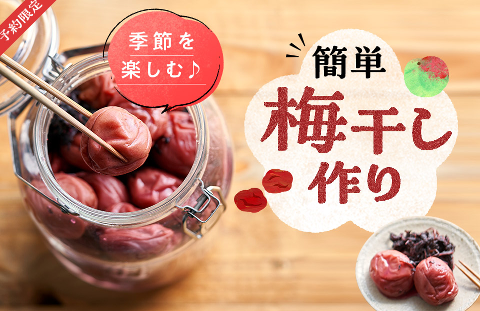 2026 梅しごと：梅干し用梅メイン