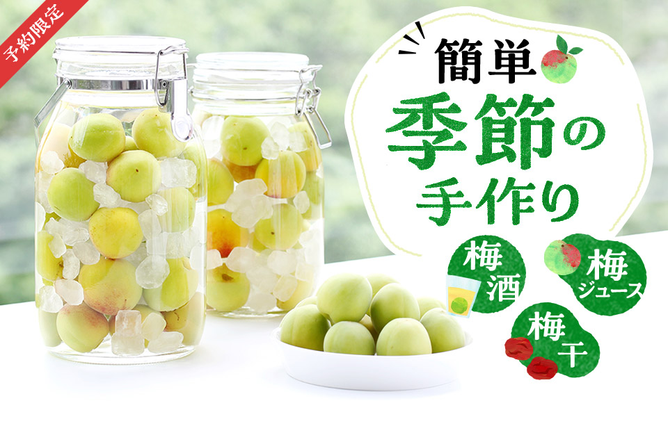 2026 梅しごと：青梅(梅ジュース用・梅酒用)メイン