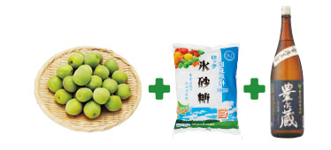 簡単 梅酒手作りセット