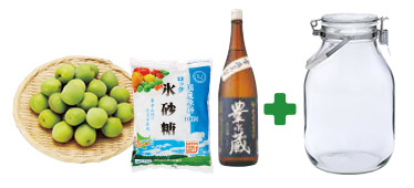 簡単梅酒手作りセットびん付