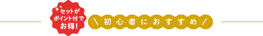 初心者におすすめ