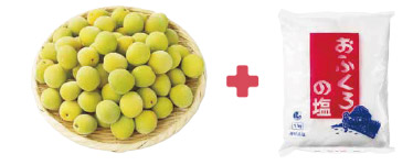 簡単 梅干し手作りセット