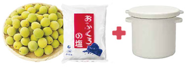 簡単 梅干し手作り容器付セット