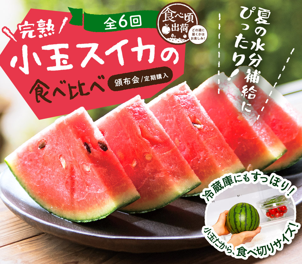完熟小玉スイカの食べ比べ