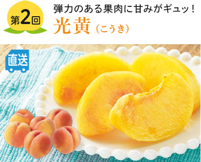第2回 光黄