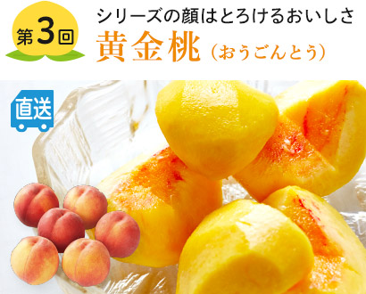 第3回 黄金桃