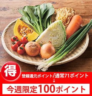 少量多品目野菜セット