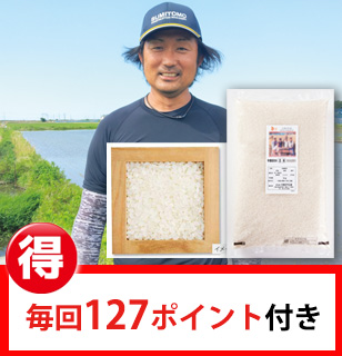 登録　新潟コシヒカリ白米