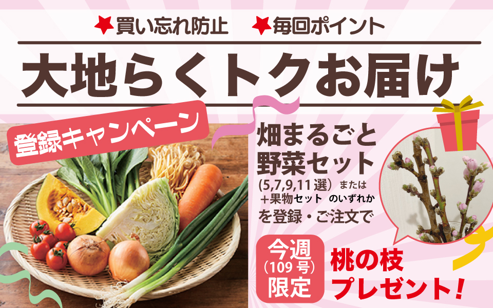 メインイメージ