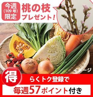 畑まるごと野菜セット・5選