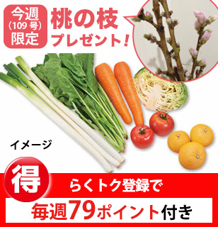 畑まるごと野菜セット・5選＋果物