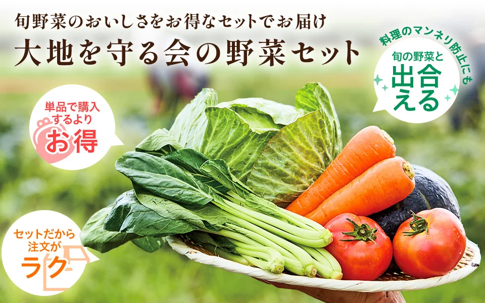 大地を守る会の野菜セット