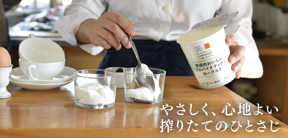 プロバイオティクスヨーグルト