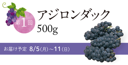 第1回アジロンダック