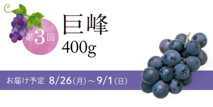 第3回巨峰