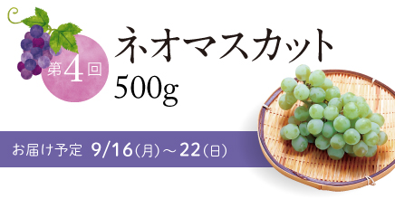 第4回ネオマスカット