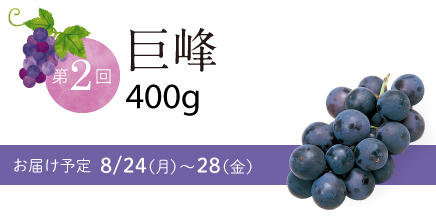第2回 巨峰