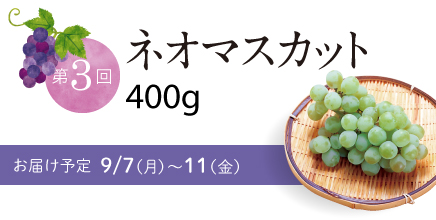 第3回 ネオマスカット
