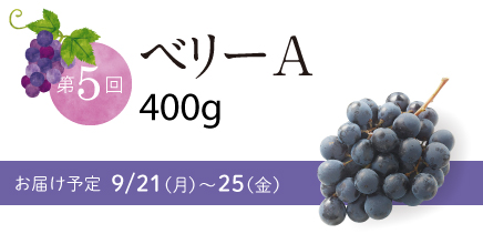 第5回 ベリーA