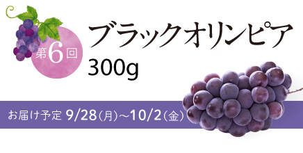 第6回 ブラックオリンピア