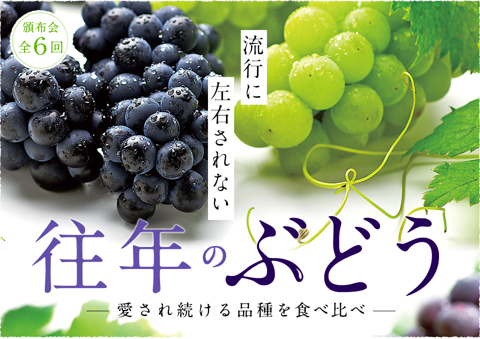 流行に左右されない 往年のぶどう