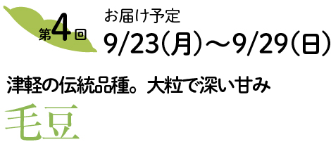 毛豆