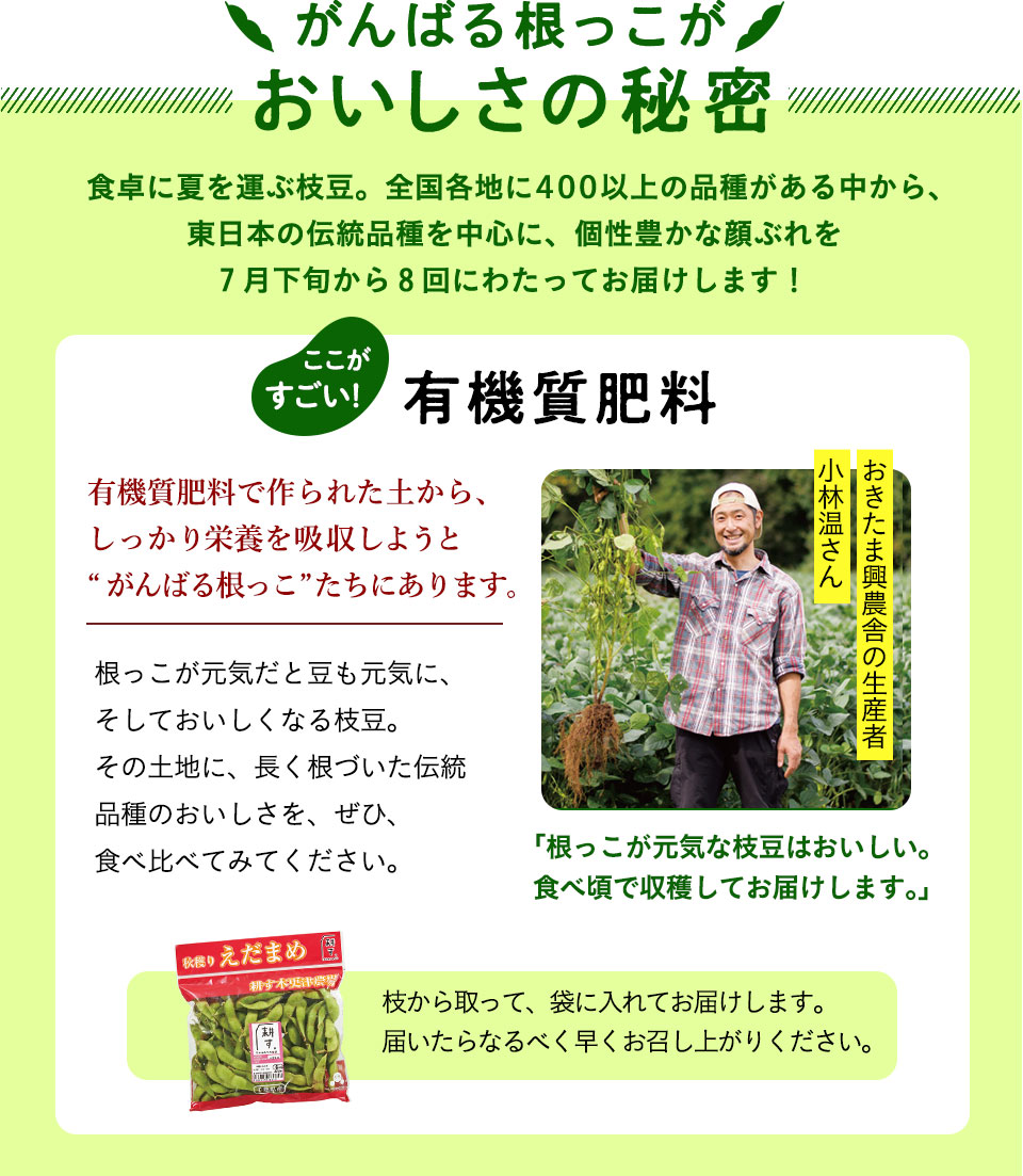 がんばる根っこがおいしさの秘密