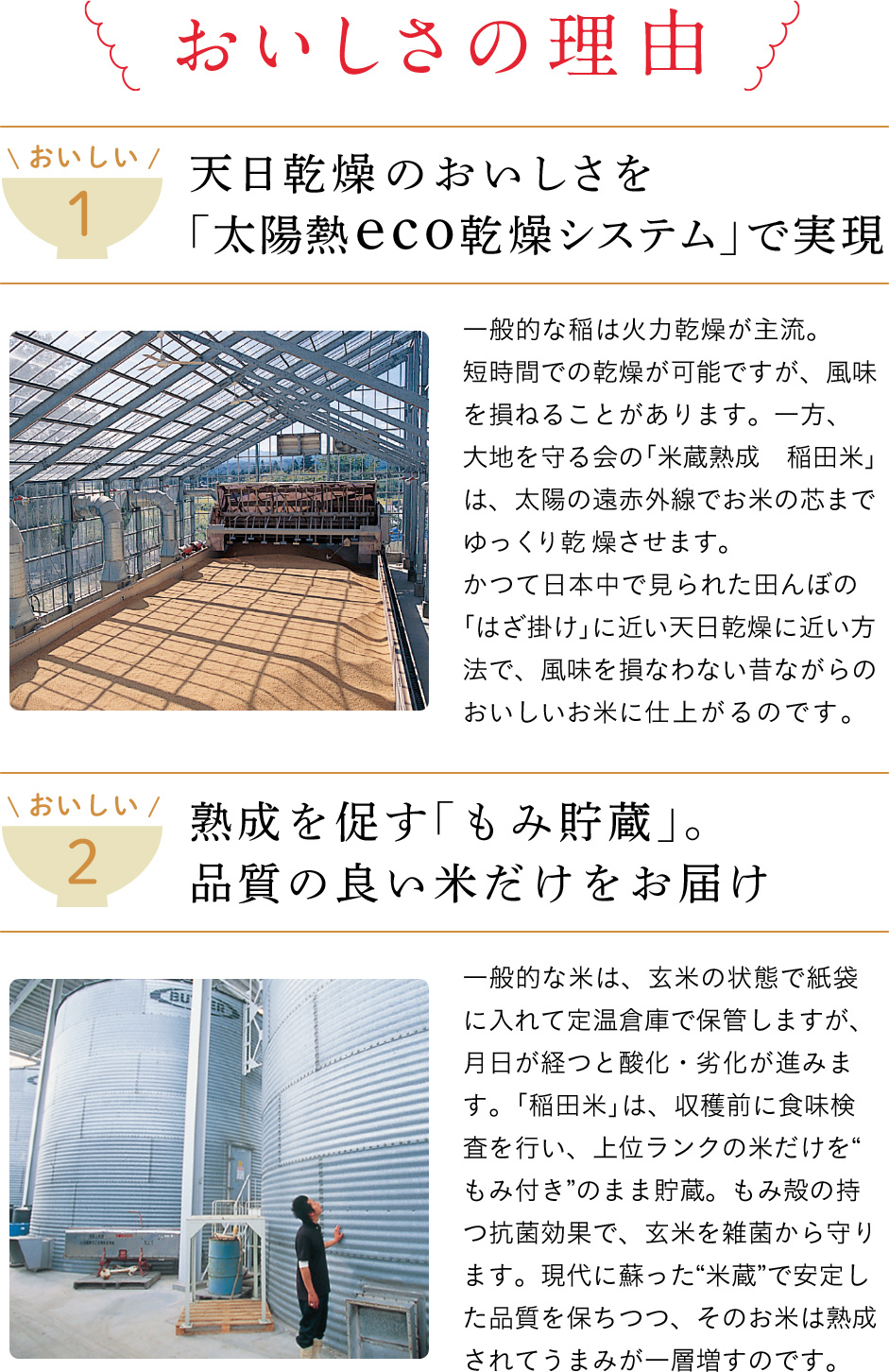 おいしさの理由