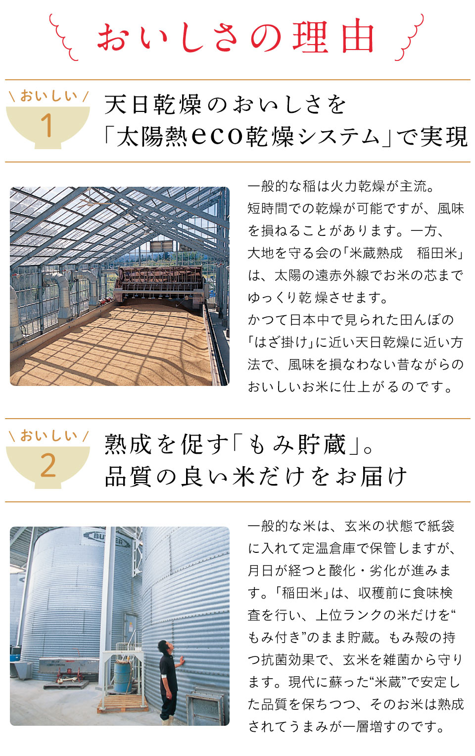 おいしさの理由