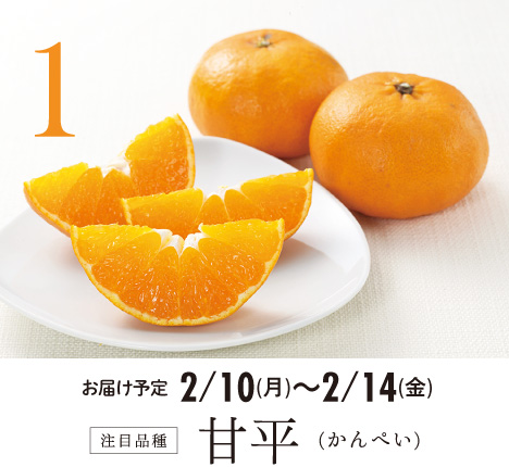1 注目品種 甘平