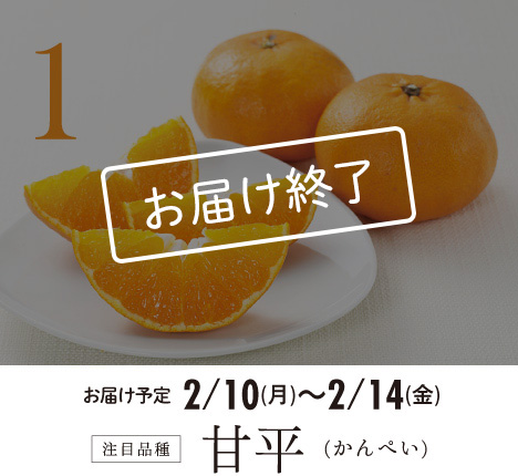 1 注目品種 甘平 お届け終了