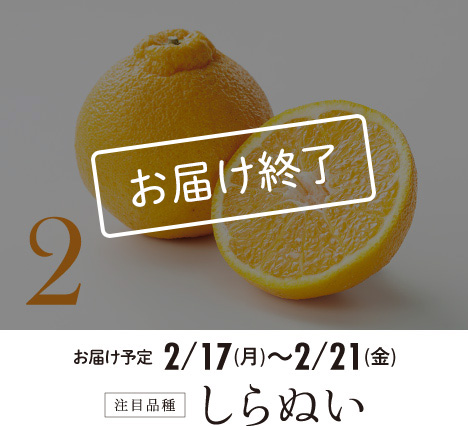 2 注目品種 しらぬい お届け終了