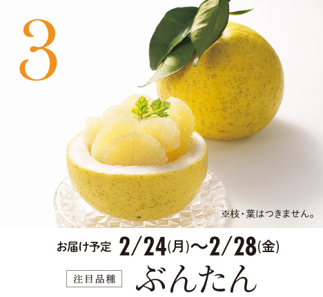 3 注目品種 ぶんたん