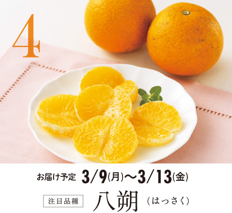 4 注目品種 八朔(はっさく)