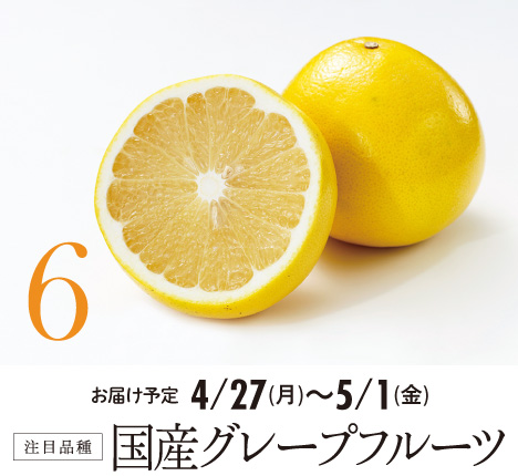 6 注目品種 国産グレープフルーツ