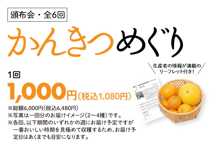 頒布会・全6回
かんきつめぐり 1口 1,000円(税込1,080円) 生産者の情報が満載のリーフレット付き!