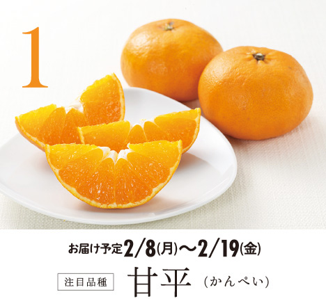 1 注目品種 甘平