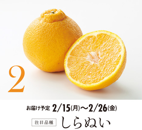 2 注目品種 しらぬい