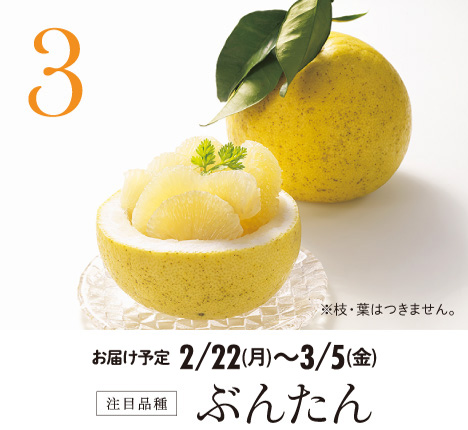 3 注目品種 ぶんたん
