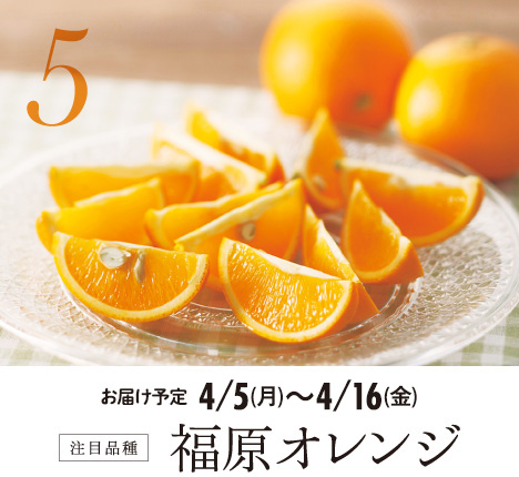 5 注目品種 福原オレンジ