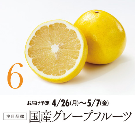 6 注目品種 国産グレープフルーツ