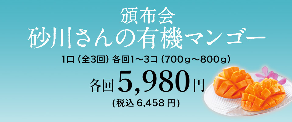 頒布会 砂川さんの有機マンゴー 1口(全3回)各回1~3コ(700g~800g) 各回5,980円(税込6,458円)