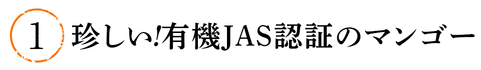 ①珍しい!有機JAS認証のマンゴー
