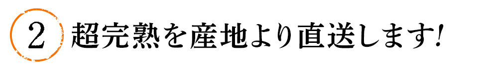 ②超完熟を産地より直送します!