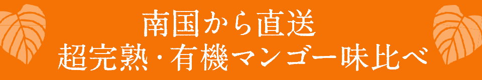 南国から直送 超完熟・有機マンゴー味比べ