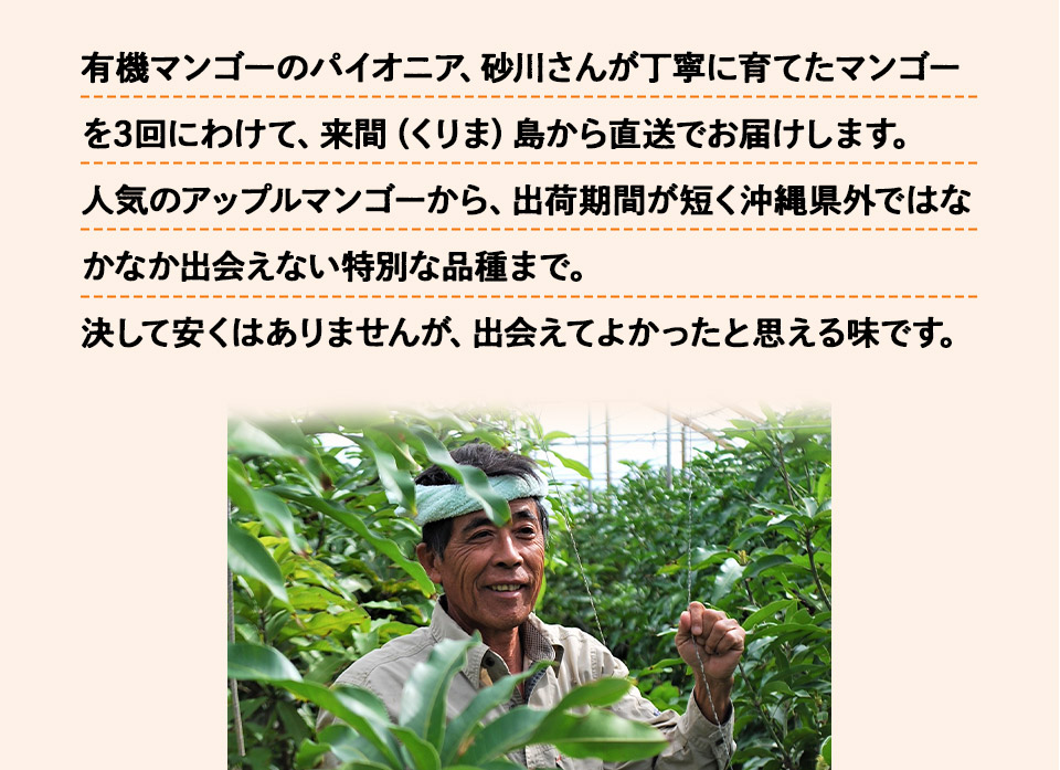 有機マンゴーのパイオニア、砂川さんが丁寧に育てたマンゴーを3回にわけて、来間(くりま)島から直送でお届けします。人気のアップルマンゴーから、出荷期間が短く沖縄県外ではなかなか出会えない特別な品種まで。決して安くはありませんが、出会えてよかったと思える味です。