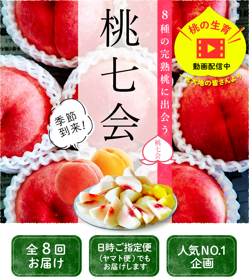 桃七会